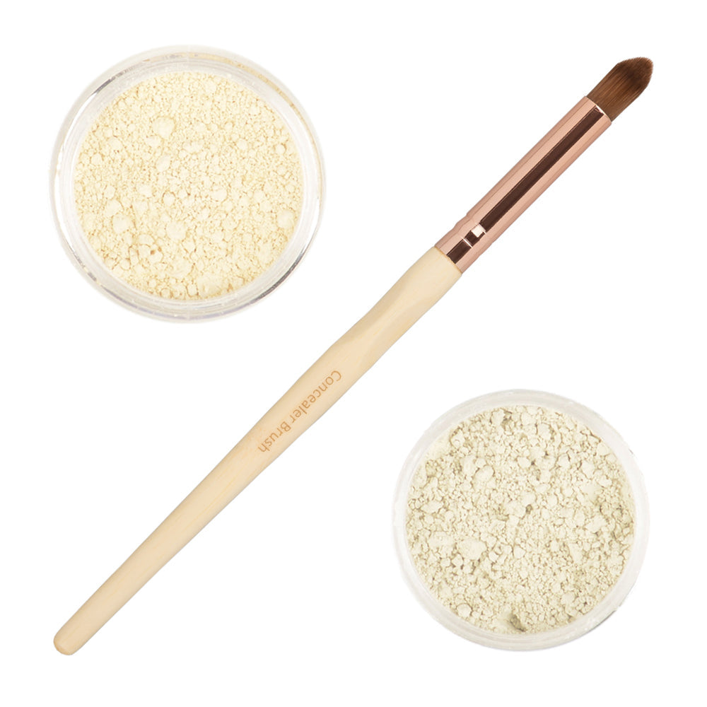 Conceal & Correct Kit