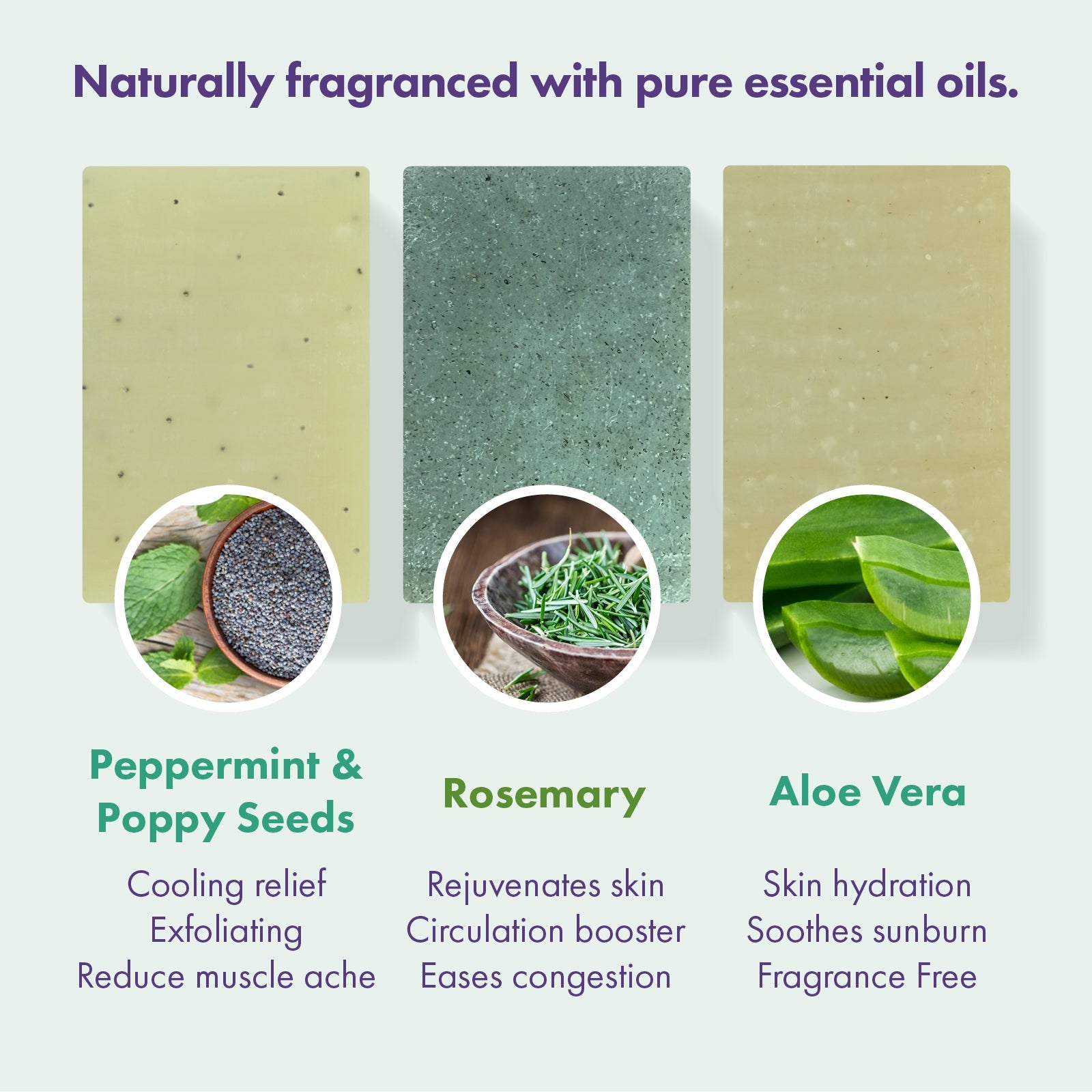 Trio Gift Set - Peppermint & Poppy Seeds, Rosemary, Aloe Vera