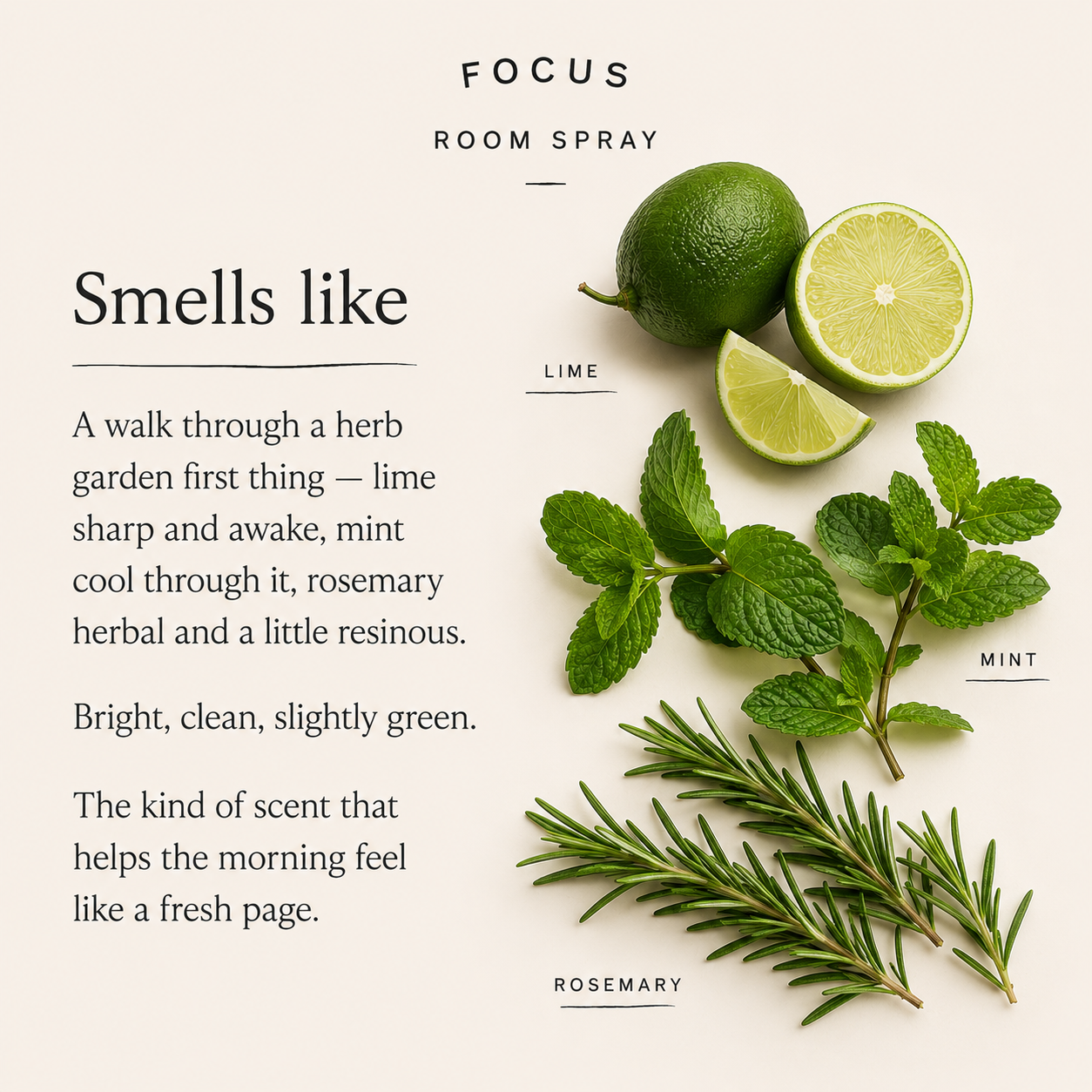 Focus Room Spray