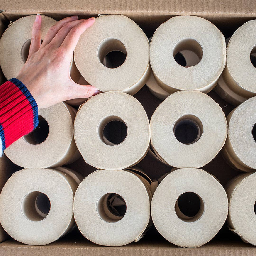 Bazoo Unbleached Bamboo Toilet Paper | 24 Rolls or 48 Rolls | 100% Bamboo, Plastic-Free