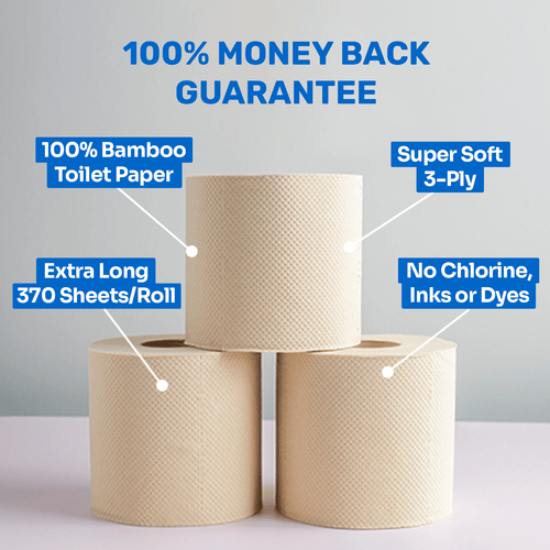 Bazoo Unbleached Bamboo Toilet Paper | 24 Rolls or 48 Rolls | 100% Bamboo, Plastic-Free