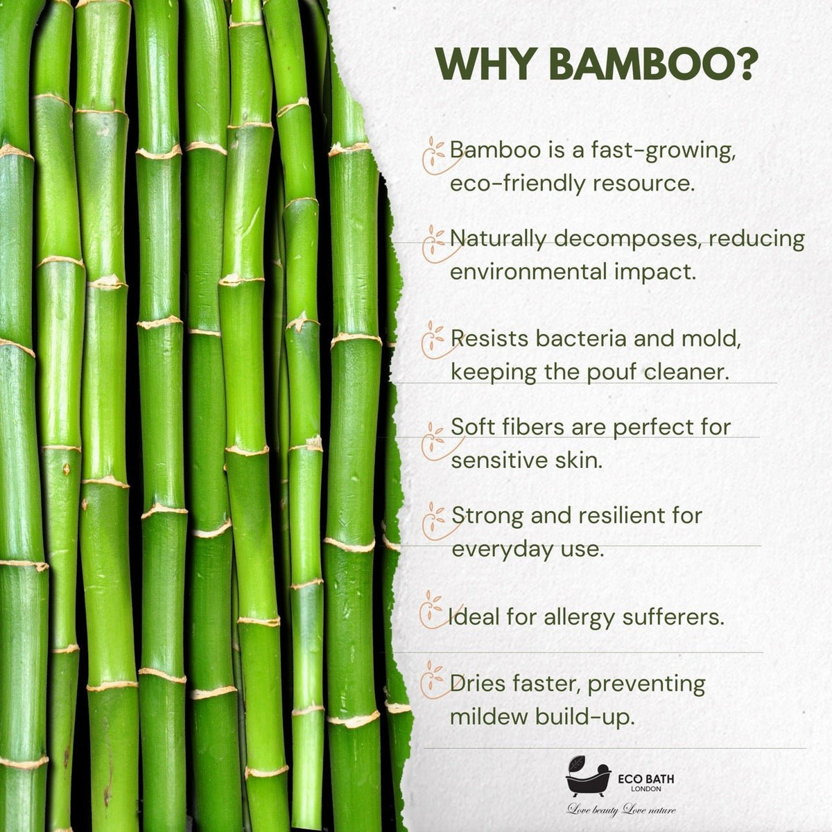 Eco Bath London Bamboo Hair Brush with Boar Bristles - Eco-Friendly Detangling Hairbrush for All Hair Types
